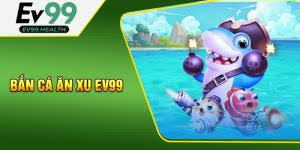 Hệ Thống Phòng Chơi Được Phân Tầng Rõ Ràng