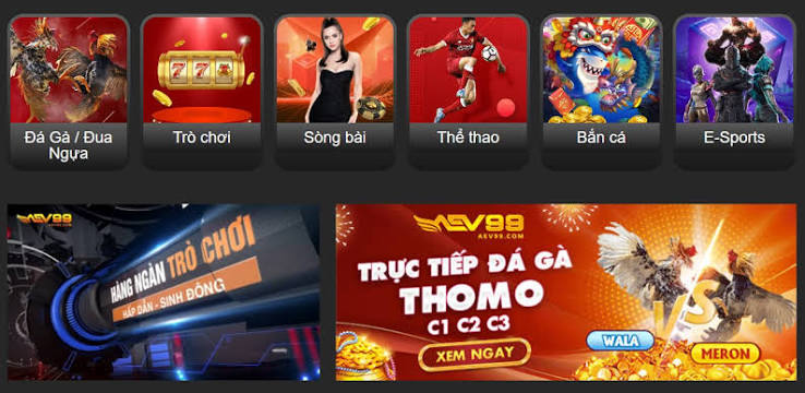Bộ Môn Cá Cược Nổi Bật Tại AEV99